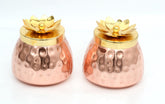 Set of 2 Hammered Copper Plated Jar/Container for dry fruits image 0