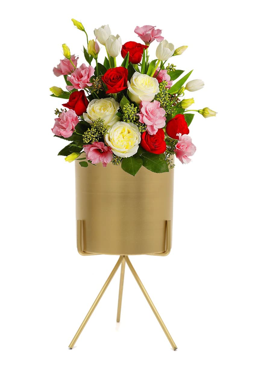 Metal Planter Pot with Stand 12" image 0